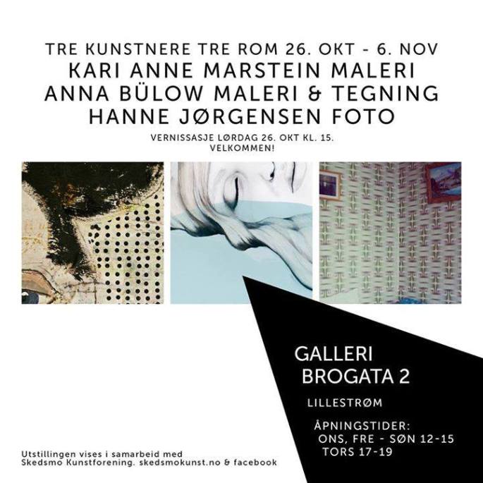 The invitation and graphic profile for Skedsmo Kunstforening is designed by me