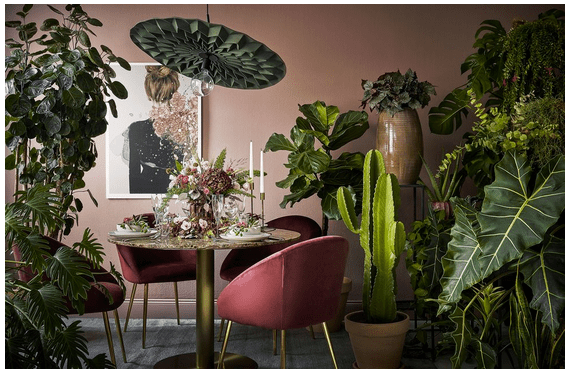 Skjermbilde 2019-09-12 15.47.04